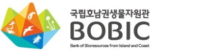 영문로고